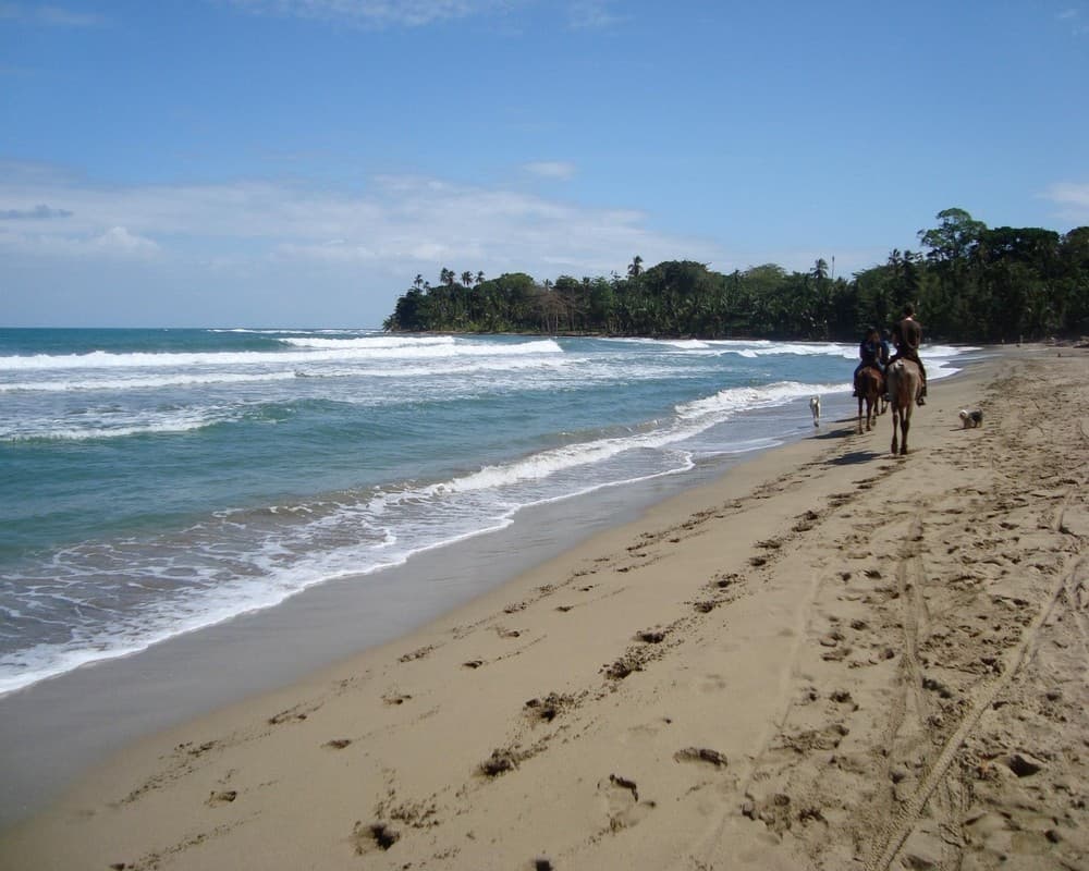 Costa Rica main specialty