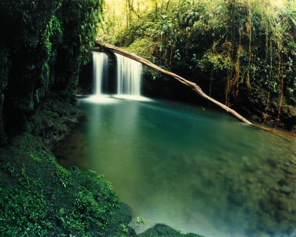 Costa Rica main specialty